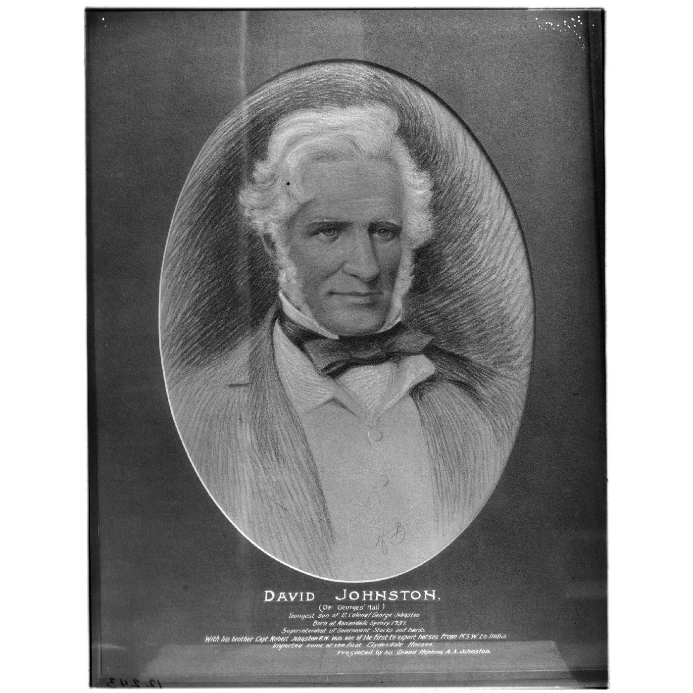 David Johnston