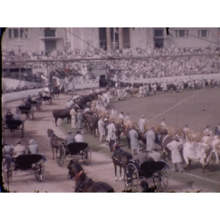 Sydney Royal Easter Show, c.1956-1957