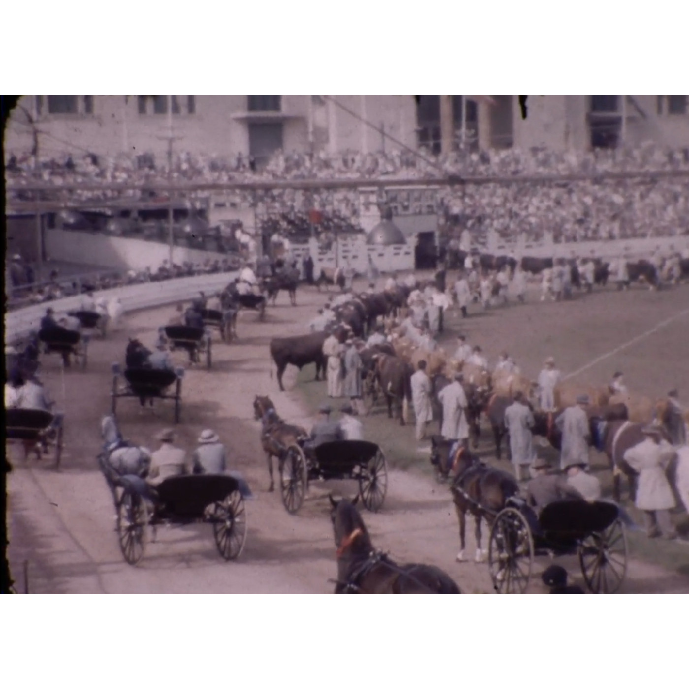 Sydney Royal Easter Show, c.1956-1957