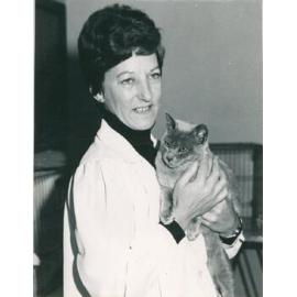 Shorthaired Kitten Barrier District Cat Show