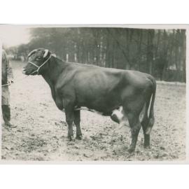 Winton Gentle, c.1940