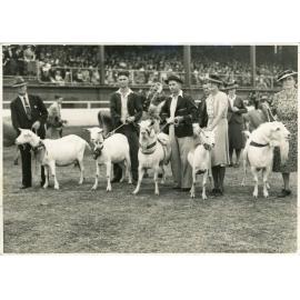 Goats in the Grand Parade, 1941