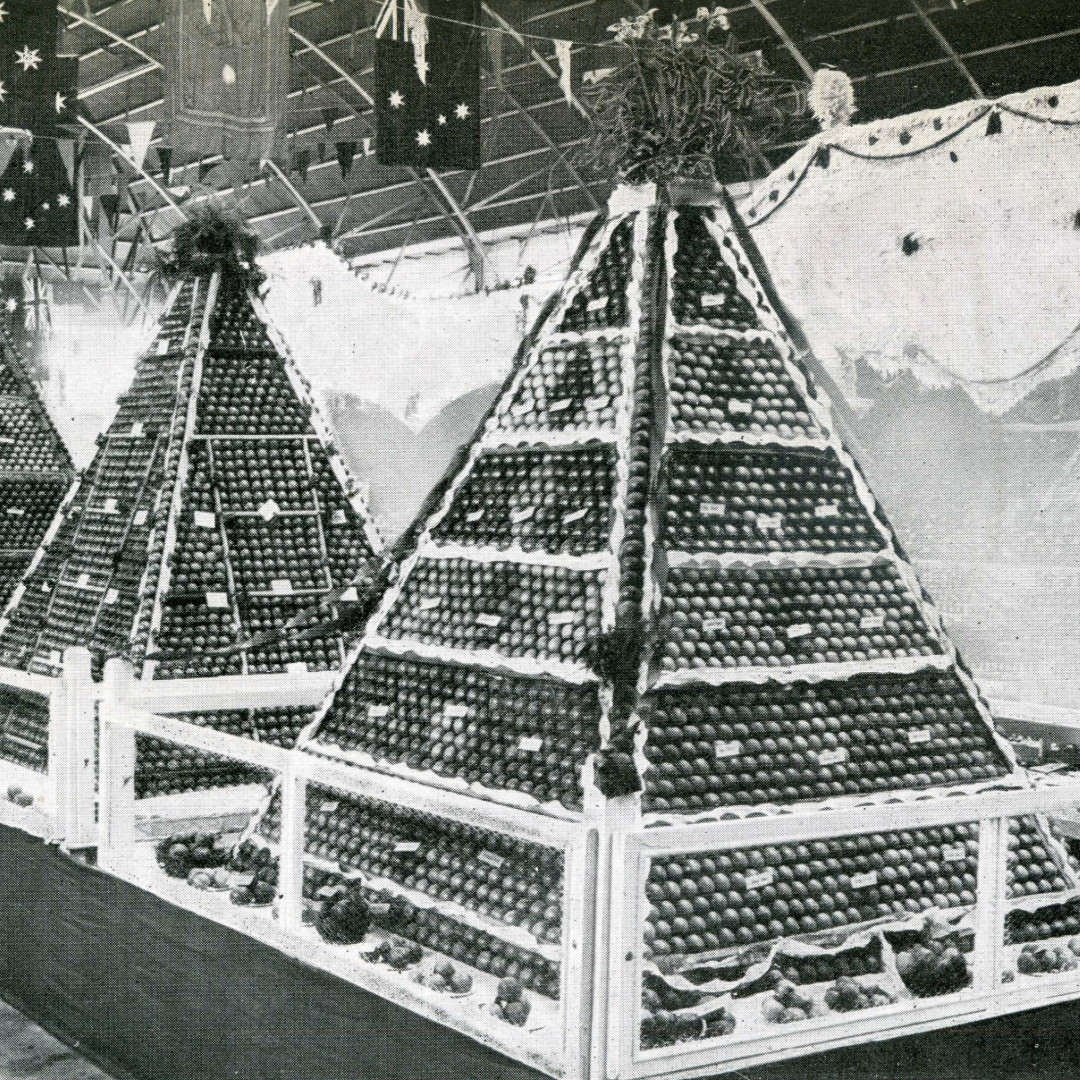 District Exhibit Competition History