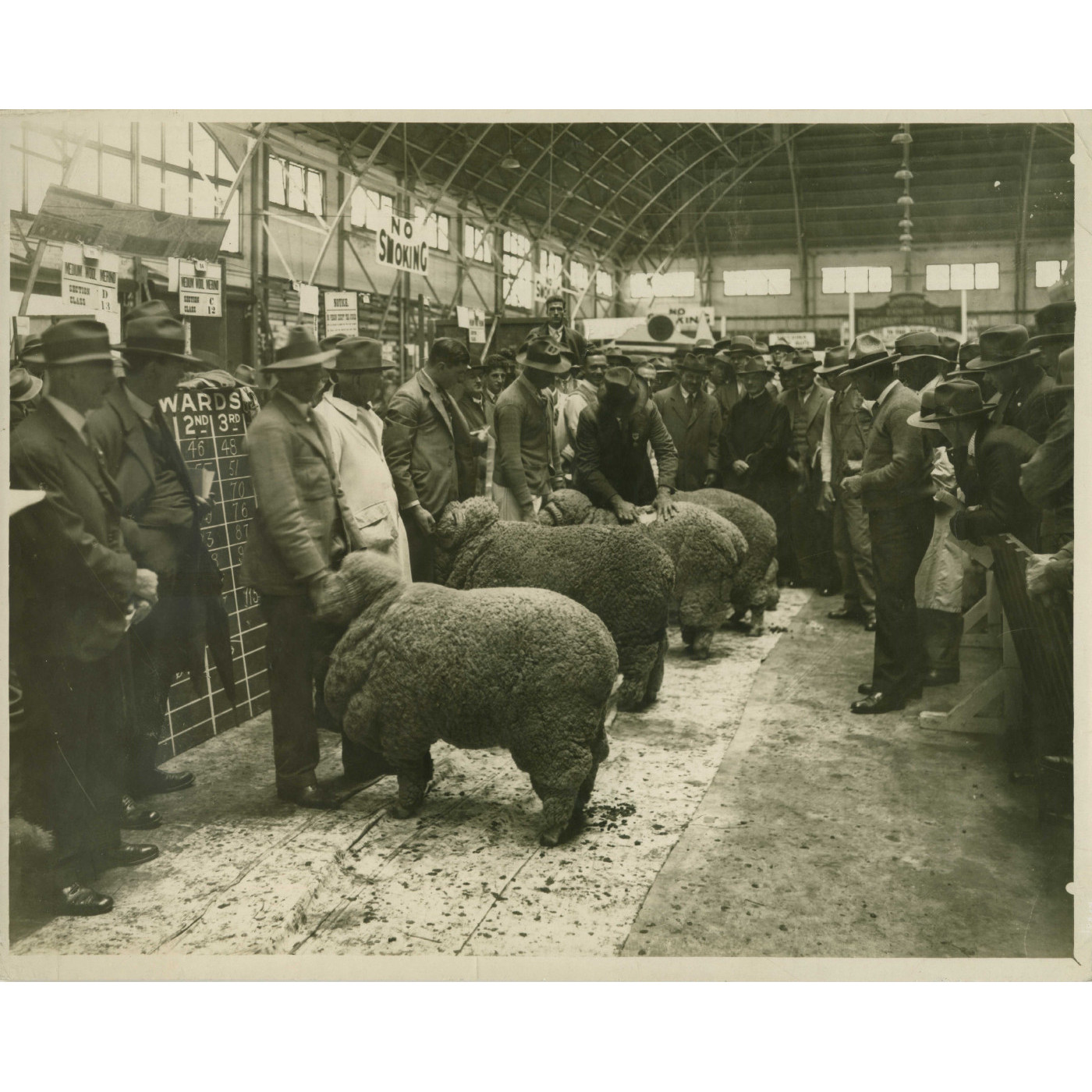 Sheep & Fleece Competition History