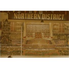 Northern District Exhibit, 1953