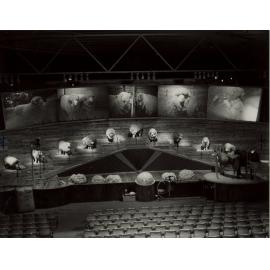 Agrodome Moore Park, 1981