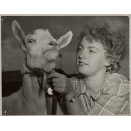 Girl Combing a Goat, 1952