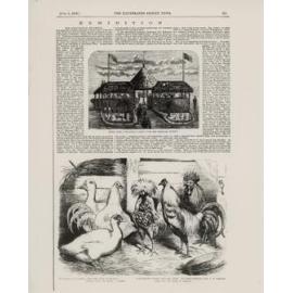 Agricultural Exhibition of NSW, 1869