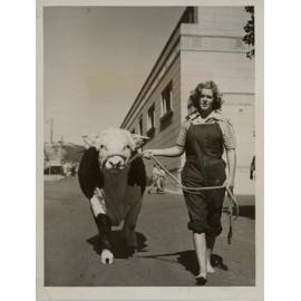 Alison Kyle Leading a Hereford Bull, 1947