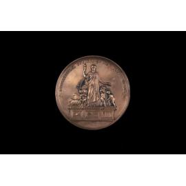 Medallion Awarded to Matthew Devlin for Best Durham Bull, 1879