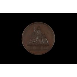 Medallion Awarded to WMH Gibbons for Poultry, 1870