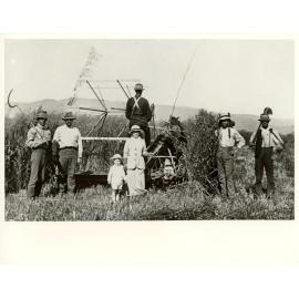 Harvesting Wheat, c.1910
