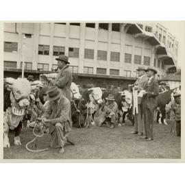 Hereford Cattle Judging, c.1930