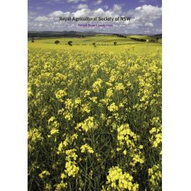 Annual Report, 2008/2009