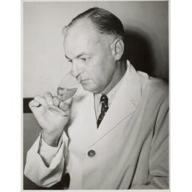 Wine Judging - Testing Bouquet, 1951