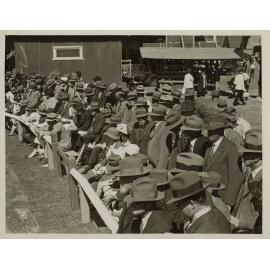 Cattle Judging, c.1940