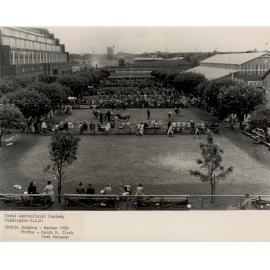 Cattle judging, 1955