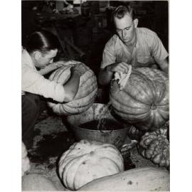 Washing Pumpkins, c.1950