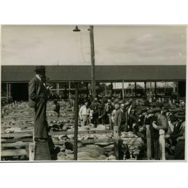 Sheep Sales at Homebush