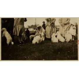 Women with Small Dogs, 1927
