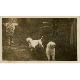Poodles, 1929