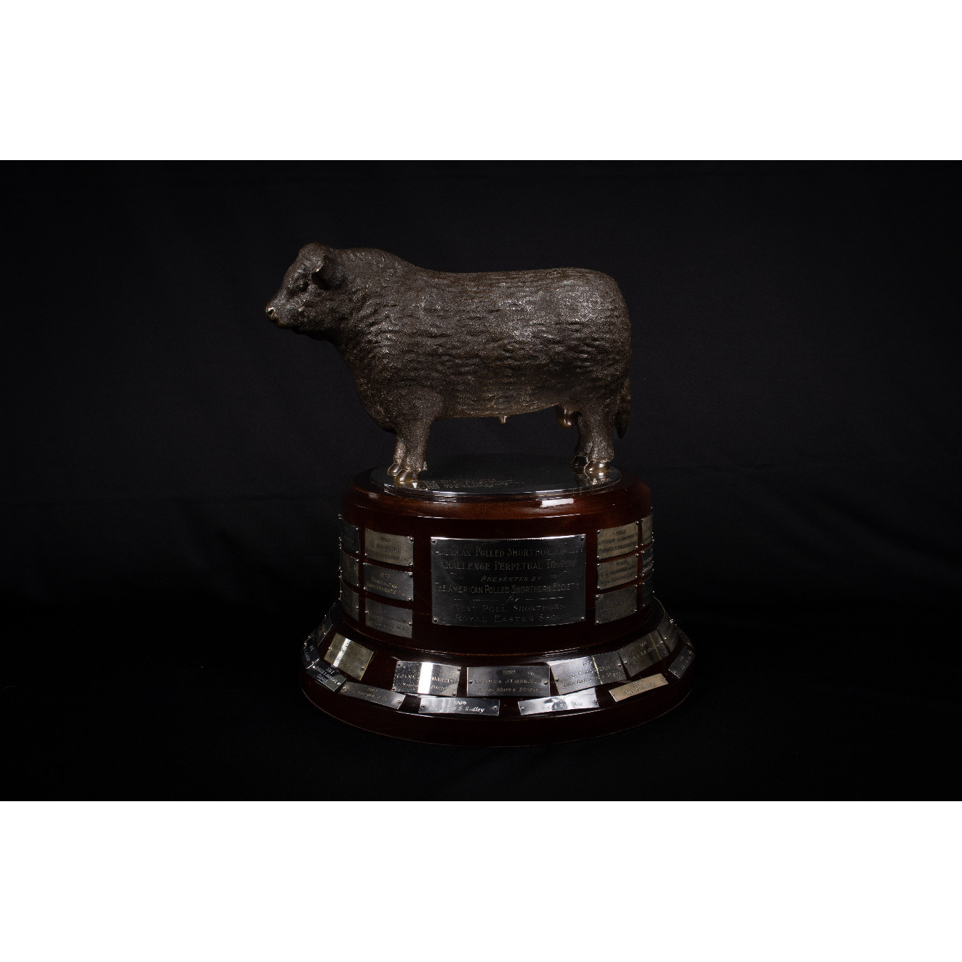 American Polled Shorthorn Society Challenge Perpetual Trophy