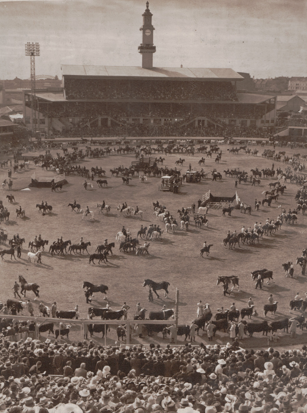 Grand Parade Heritage Highlight