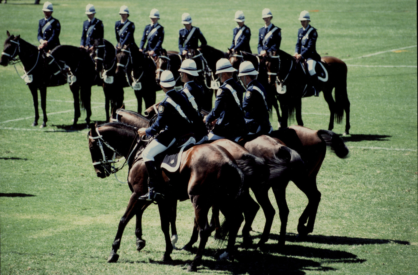 NSW Police Mounted Unit Heritage Highlight