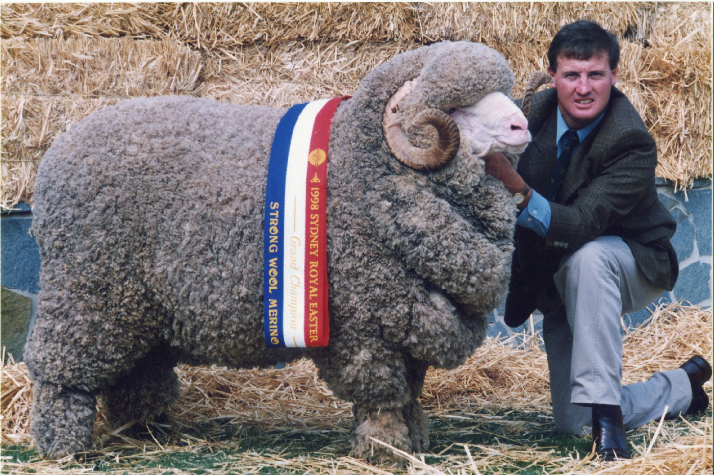 Sheep Show Heritage Highlight