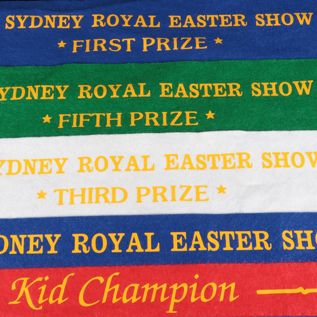 Ribbons &amp; Rosettes