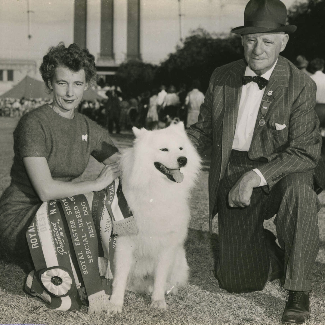 Dog Competition History