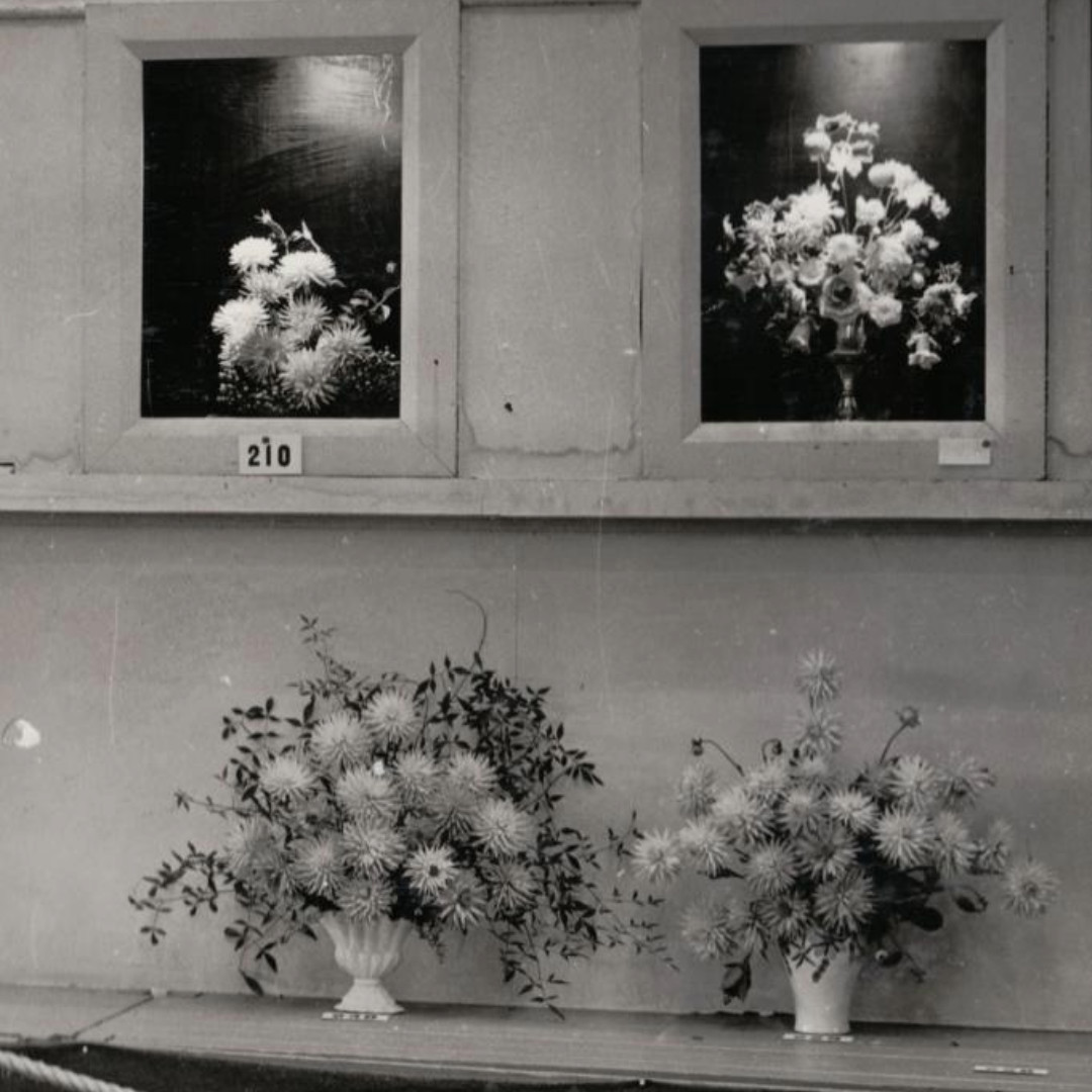 Flower &amp; Garden Competition History