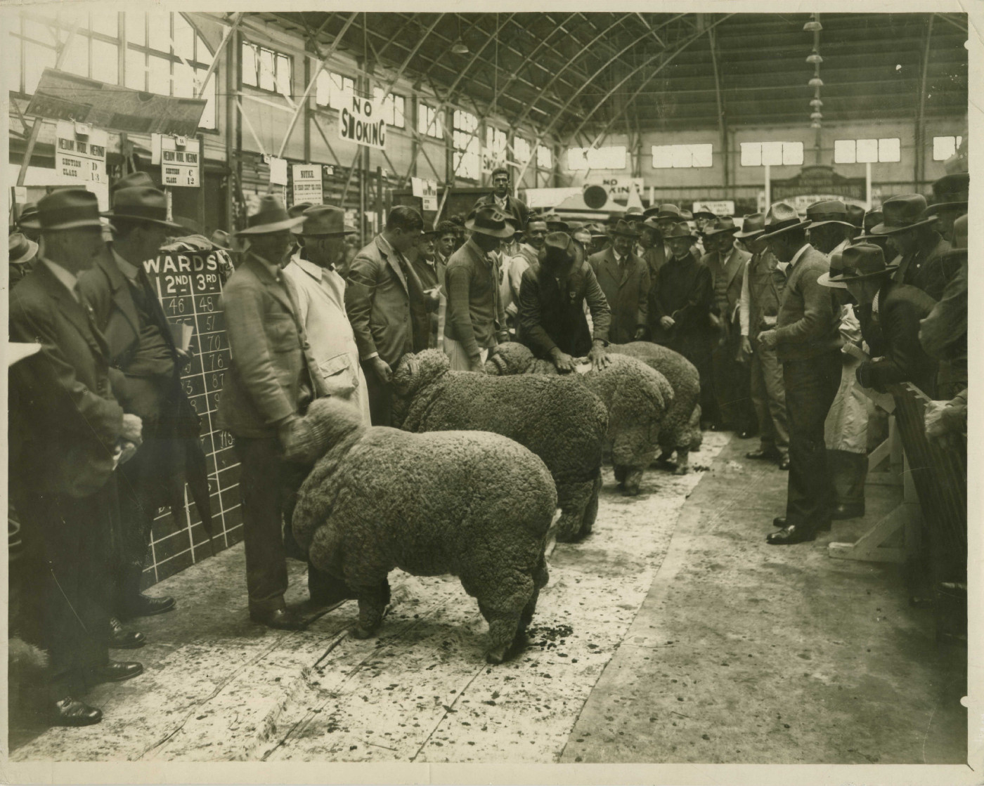 Sheep &amp; Fleece Competition History