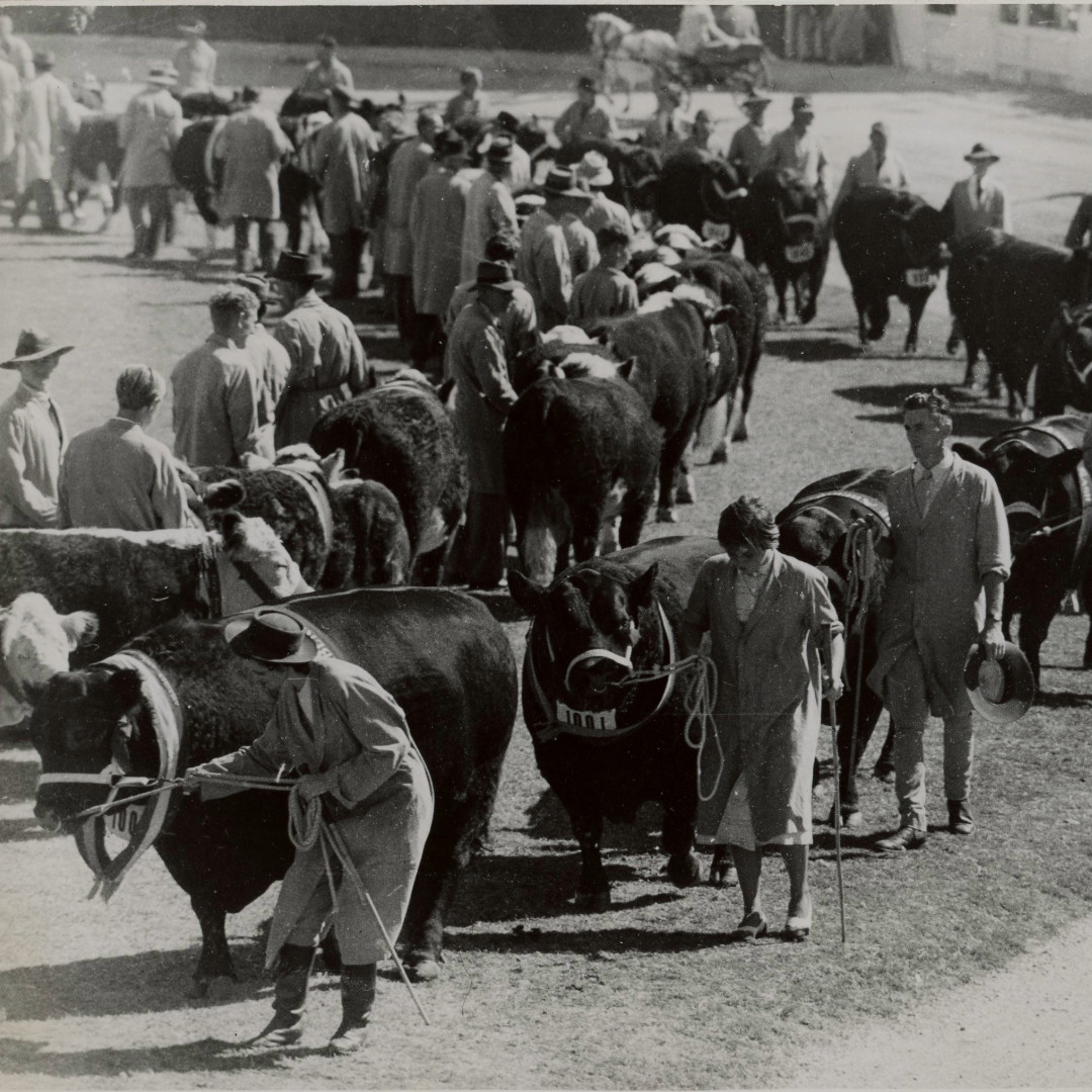 The Grand Parade
