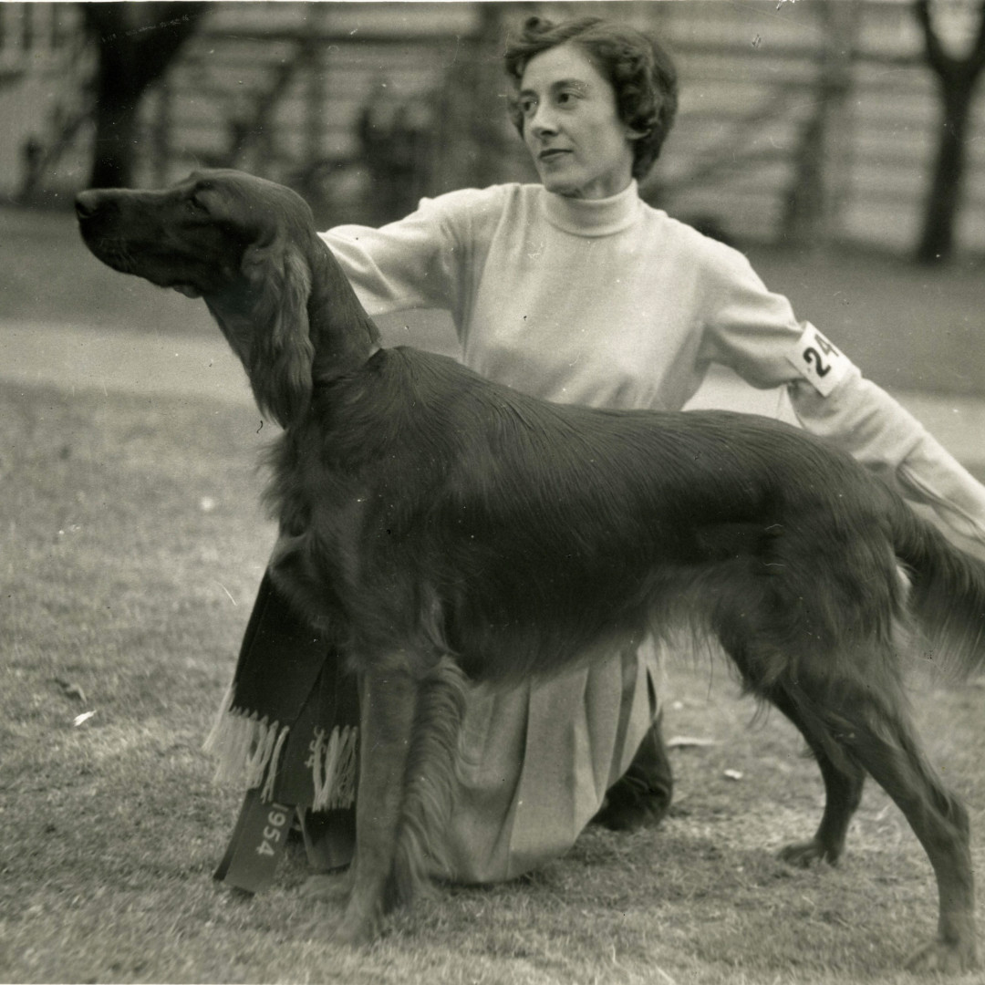 Easter Show Competitions