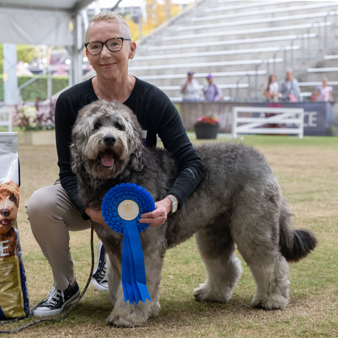 Dog Perpetual Trophies