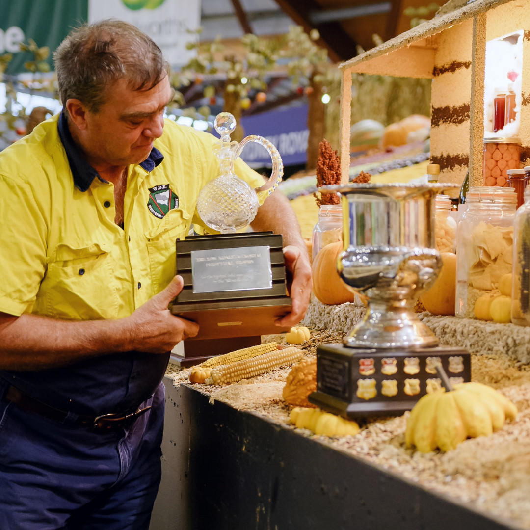 District Exhibits Perpetual Trophies