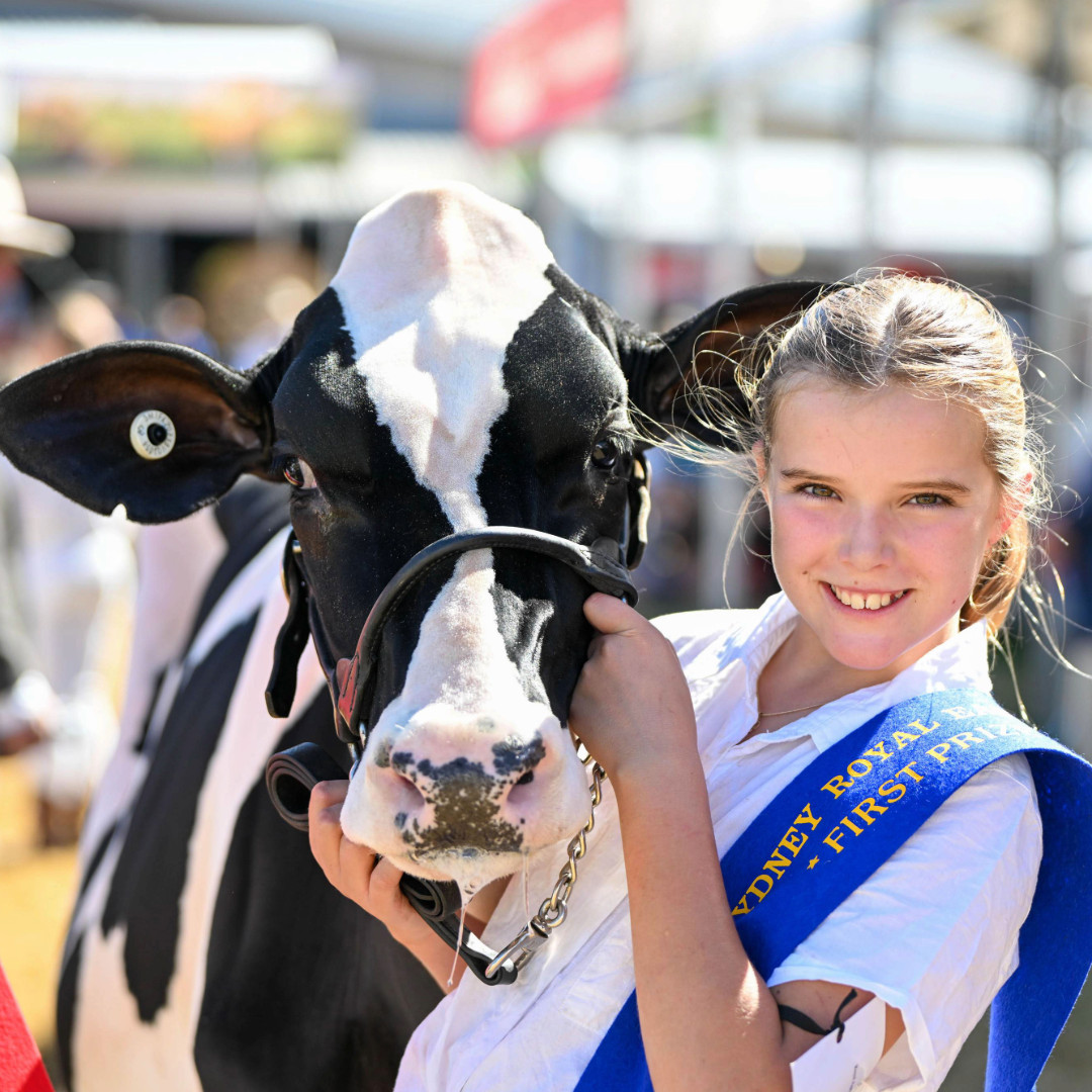 Cattle Perpetual Trophies
